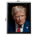 Quadro Decorativo Trump Presidente Patriota 33x45cm